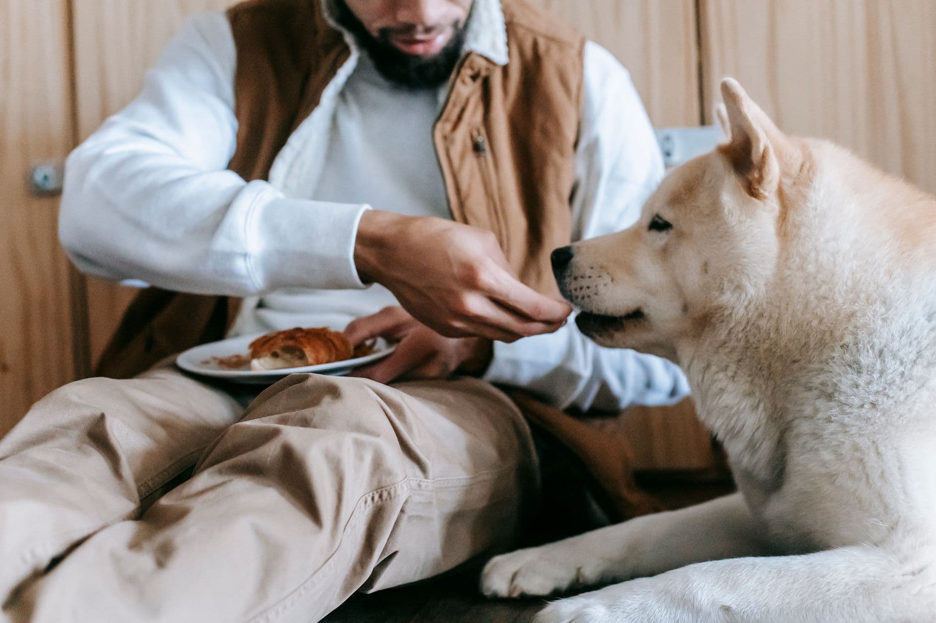 dog eating from bowl