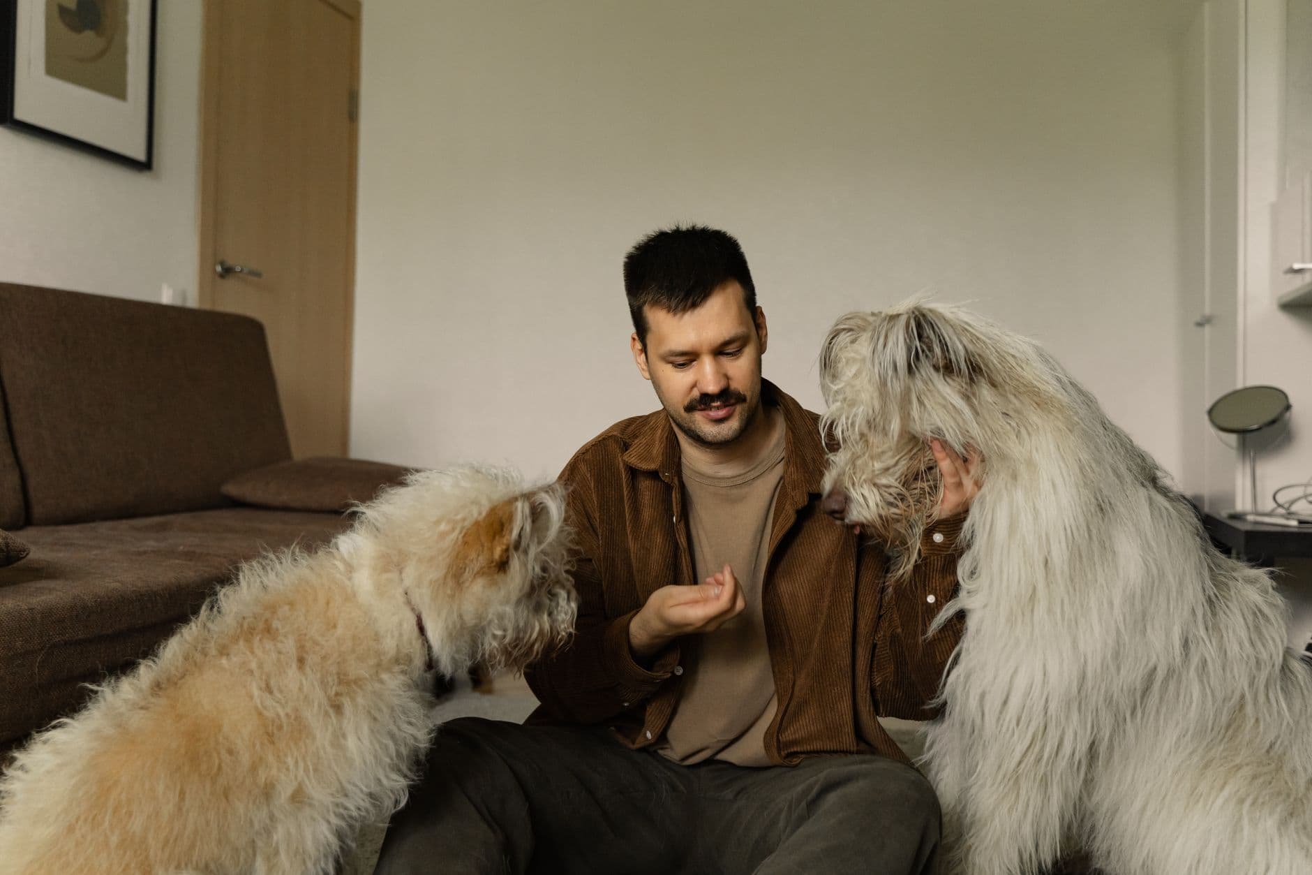 dog with owner at home