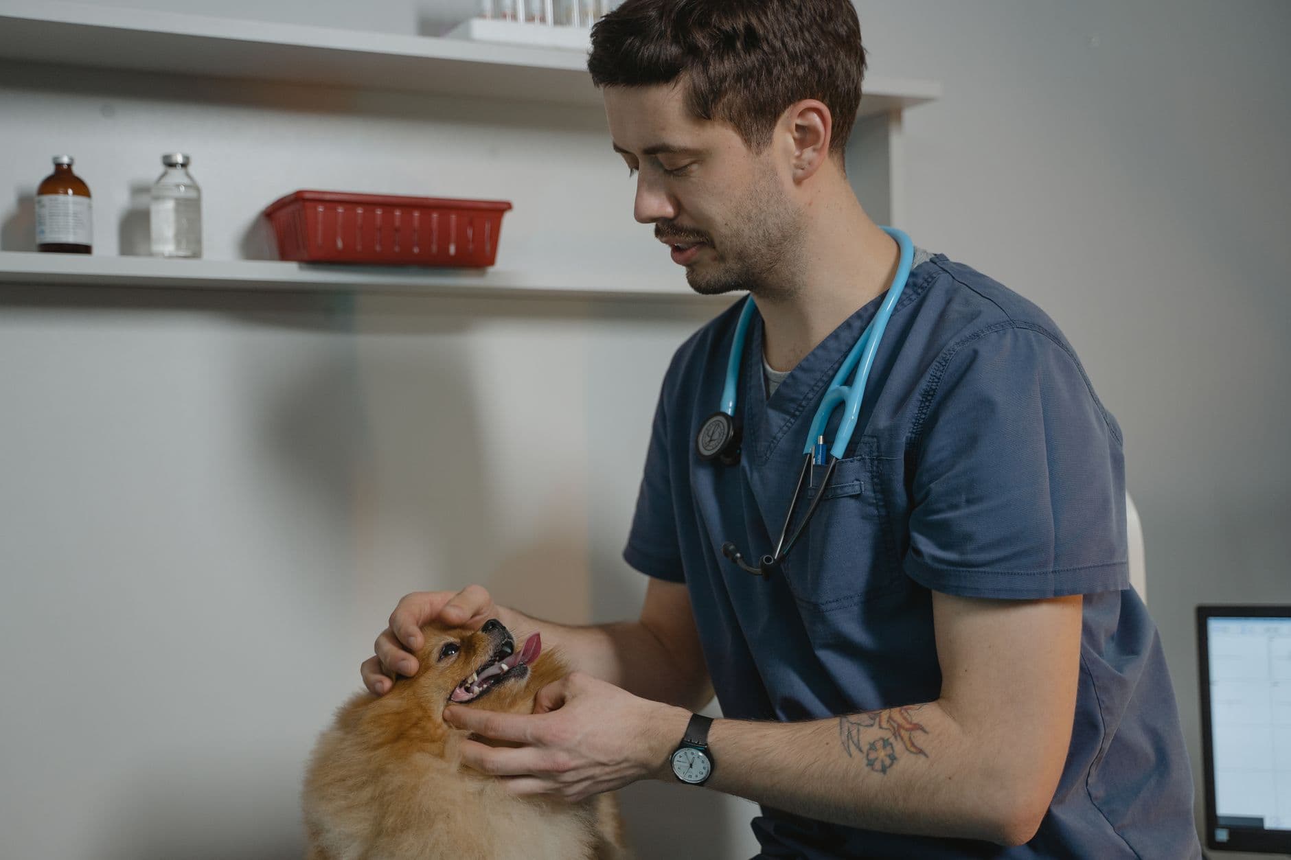 A worried dog owner holding a packet of human pills, with a phone in the other hand about to call the vet