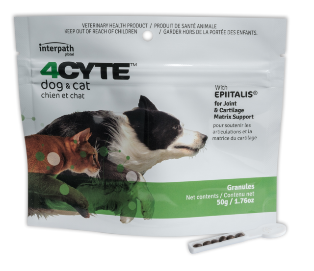 4CYTE Canine — product photo