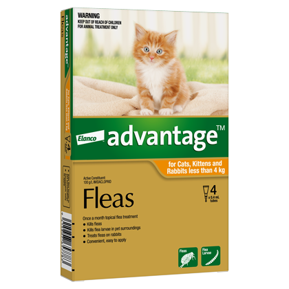 Advantage — product photo