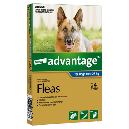 Advantage — product photo