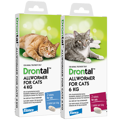 Drontal Allwormer for Cats — product photo