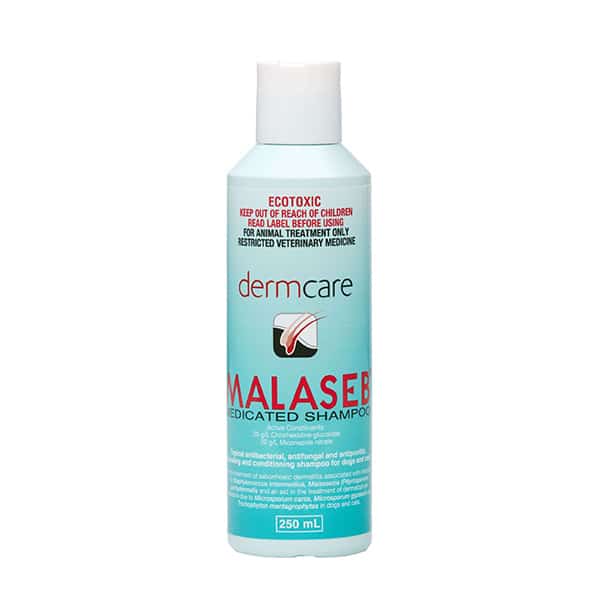 Malaseb Shampoo — product photo
